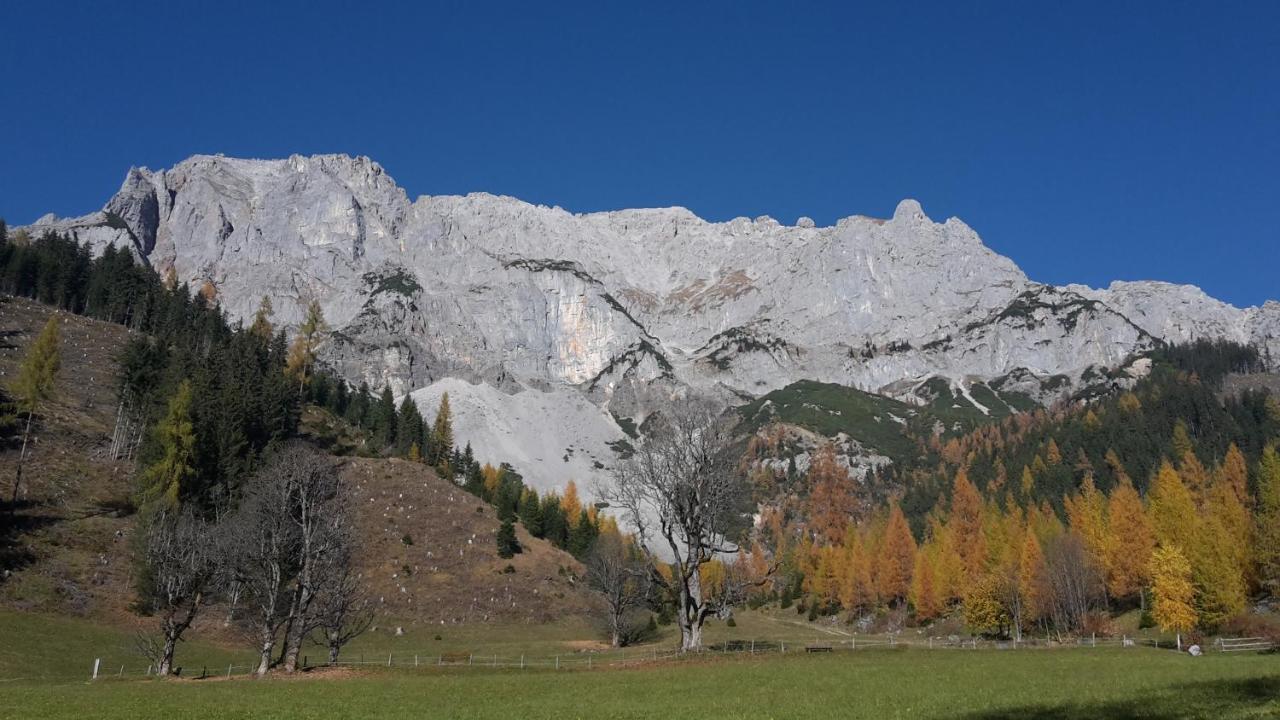 Hotel Neuwirt Ramsau am Dachstein Εξωτερικό φωτογραφία